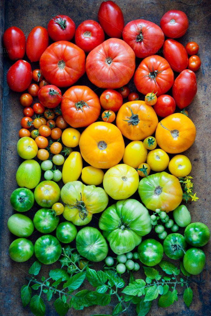 Roots & Fruits: Earth's Natural Treasures