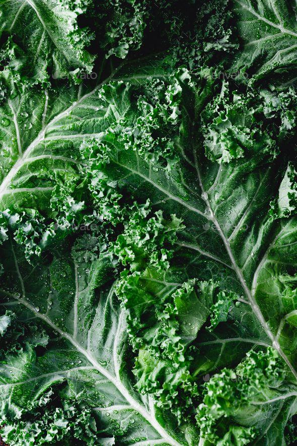 Garden Crisp: Hand-Picked Veggie Ensemble