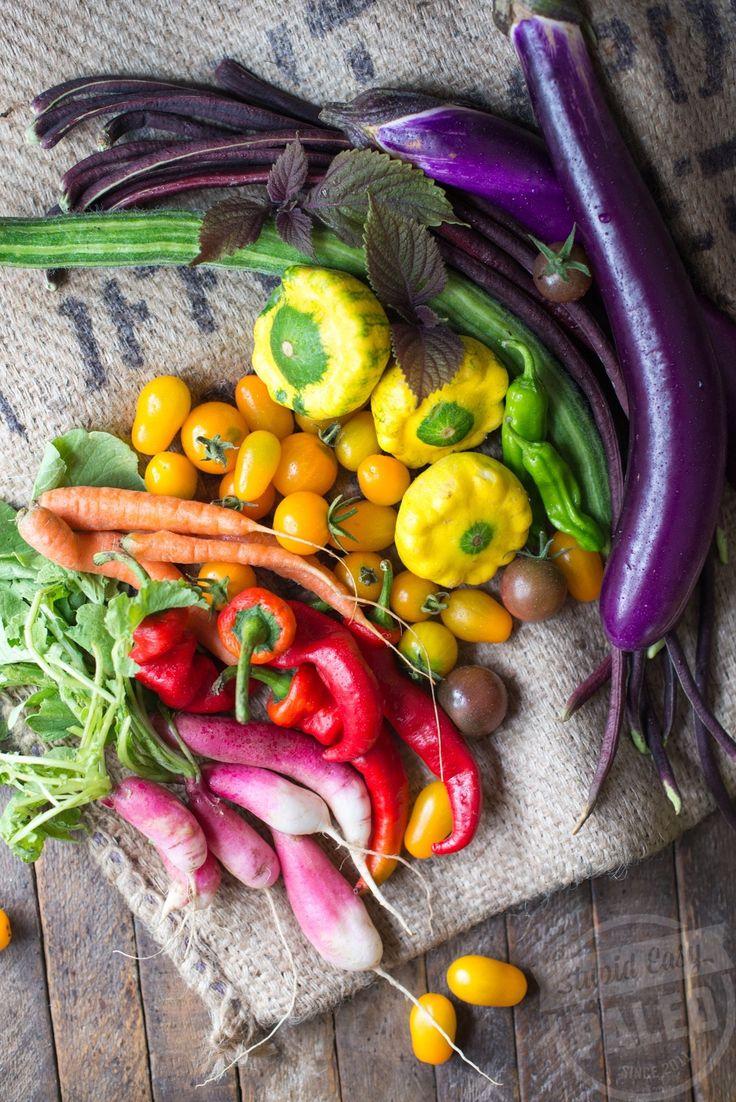 Greens Galore: Vibrant Veggie Variety Pack